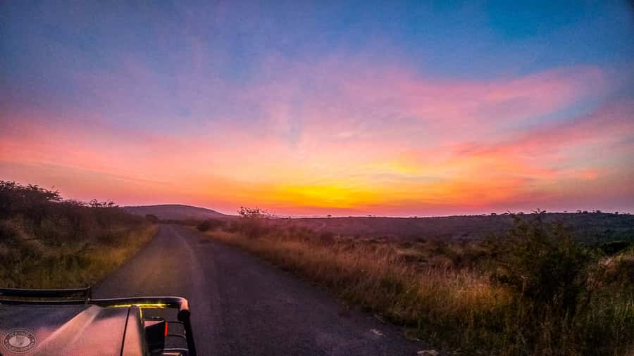 From St Lucia: iSimangaliso Sunset Safari - Why iSimangaliso’s Eastern Shores are worth the drive