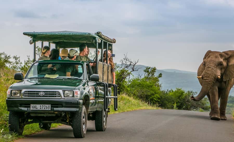 From St Lucia: iSimangaliso Sunset Safari - Sunset safari value: what $39 buys you in the real world