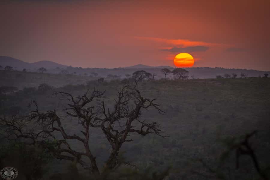 From St Lucia: iSimangaliso Sunset Safari - Timing, weather, and what to pack for a cold, wet evening