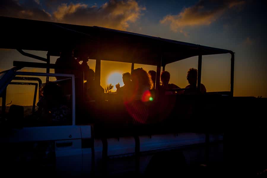 From St Lucia: iSimangaliso Wetland Park Night Drive Safari - Night Safari Value: What a 3-Hour iSimangaliso Drive Really Gives You