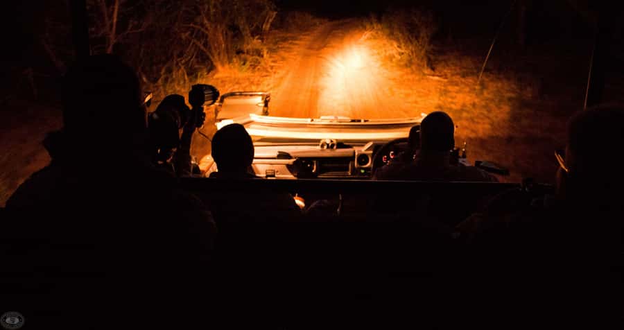 From St Lucia: iSimangaliso Wetland Park Night Drive Safari - Spotlights and Expert Eyes: How Night Driving Actually Works
