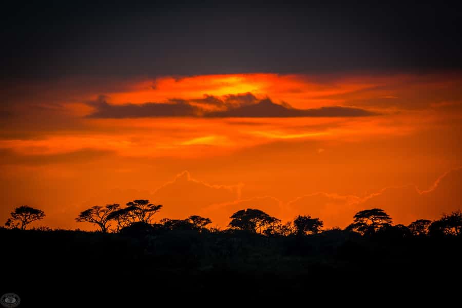 From St Lucia: iSimangaliso Wetland Park Night Drive Safari - Night Sky Viewing: Why the Pause Matters