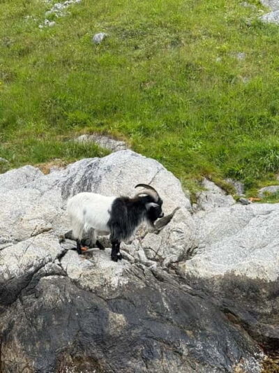 From Stavanger: Lysefjorden & Pulpit Rock Safari by RIB - Meeting at Strandkaien 34: the straightforward start you’ll appreciate