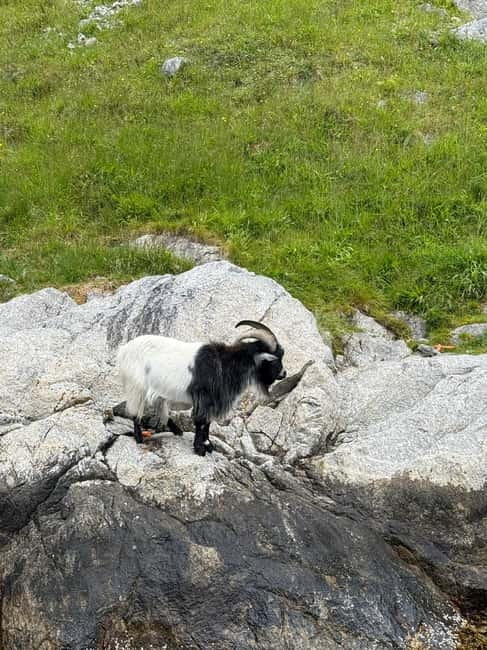 From Stavanger: Lysefjorden & Pulpit Rock Safari by RIB - Meeting at Strandkaien 34: the straightforward start you’ll appreciate