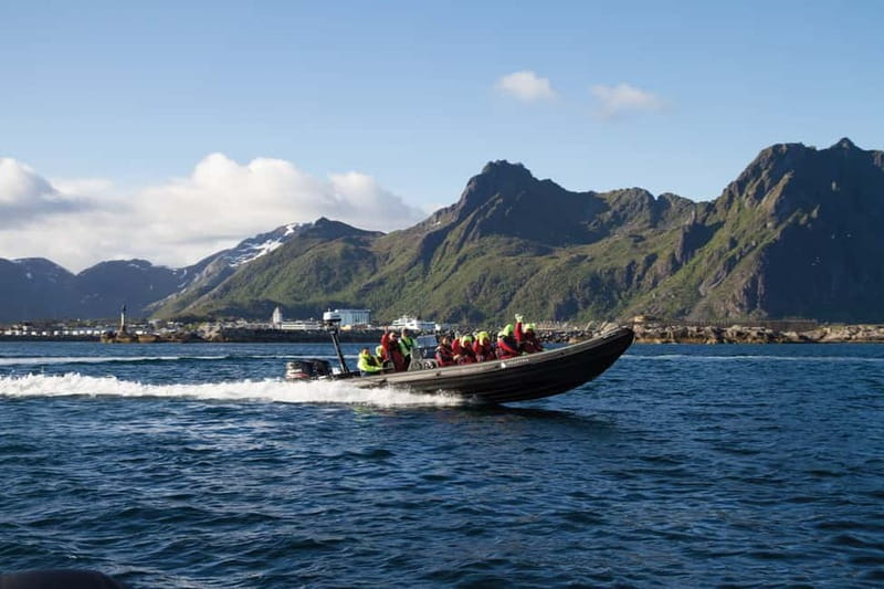 From Svolvær: Lofoten RIB Sea Eagle Safari Trollfjord Cruise - Key things you’ll notice on the water