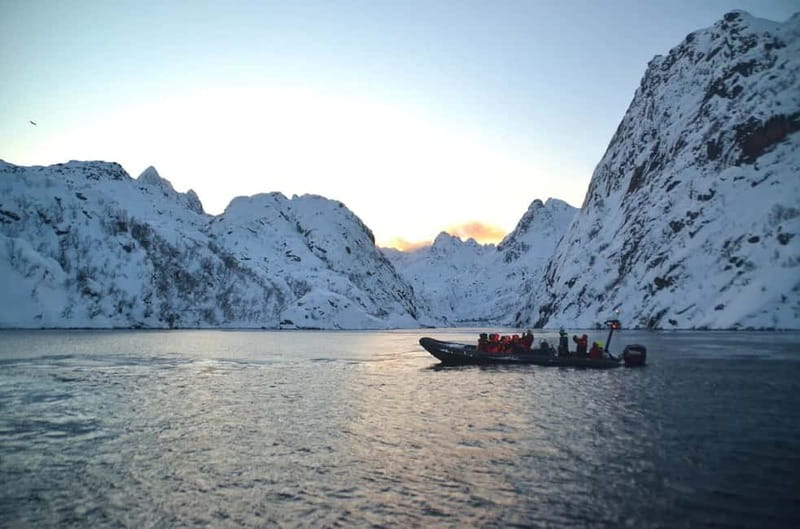 From Svolvær: Lofoten RIB Sea Eagle Safari Trollfjord Cruise - Photography and the close-range challenge