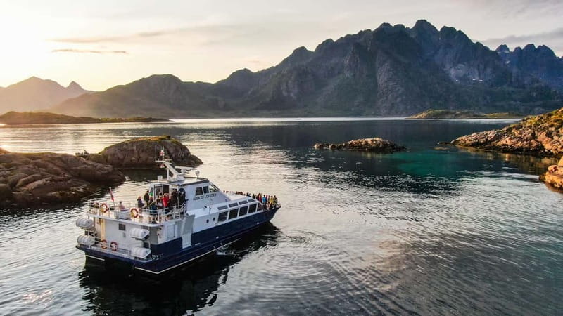 From Svolvær: Lofoten Trollfjord Cruise & Sea Eagle Safari - What the 3 Hours Feels Like: A Fast, Focused Taste of Lofoten