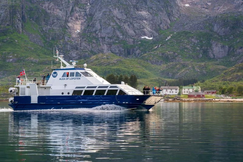 From Svolvær: Lofoten Trollfjord Cruise & Sea Eagle Safari - Price and Value: What You Get for About $135