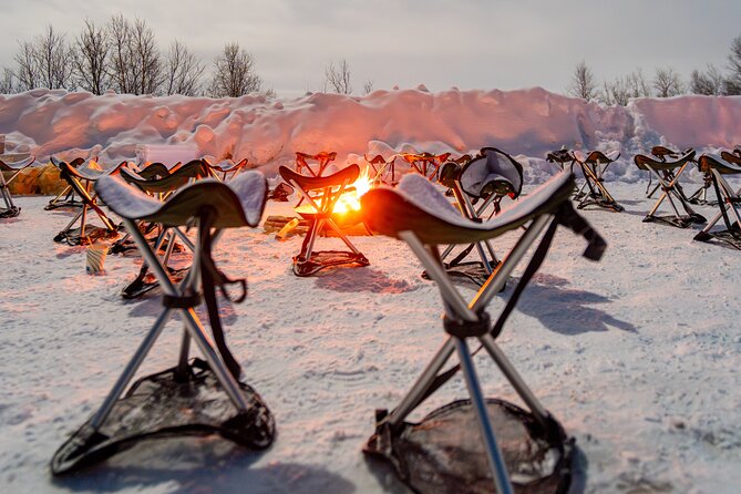 From Tromsø: Official Northern lights Safari - Warm Drinks, Bonfires, Cookies, and Hot Chocolate: The Comfort Side of the Hunt