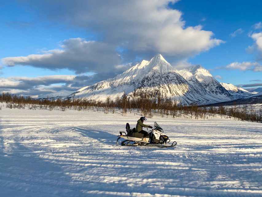 From Tromsø: Snowmobile Safari in the Lyngen Alps - Price and Logistics: Is $272 Good Value?