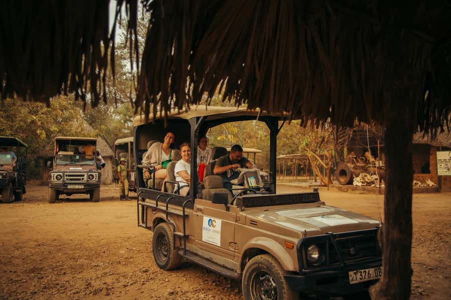 From Zanzibar: Day Selous Game Reserve Safari with Flights - Key Things I’d Mark on Your Safari Map