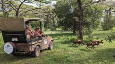 From Zanzibar: Day Selous Game Reserve Safari with Flights - Morning Arrival and the First Game Drive Hours