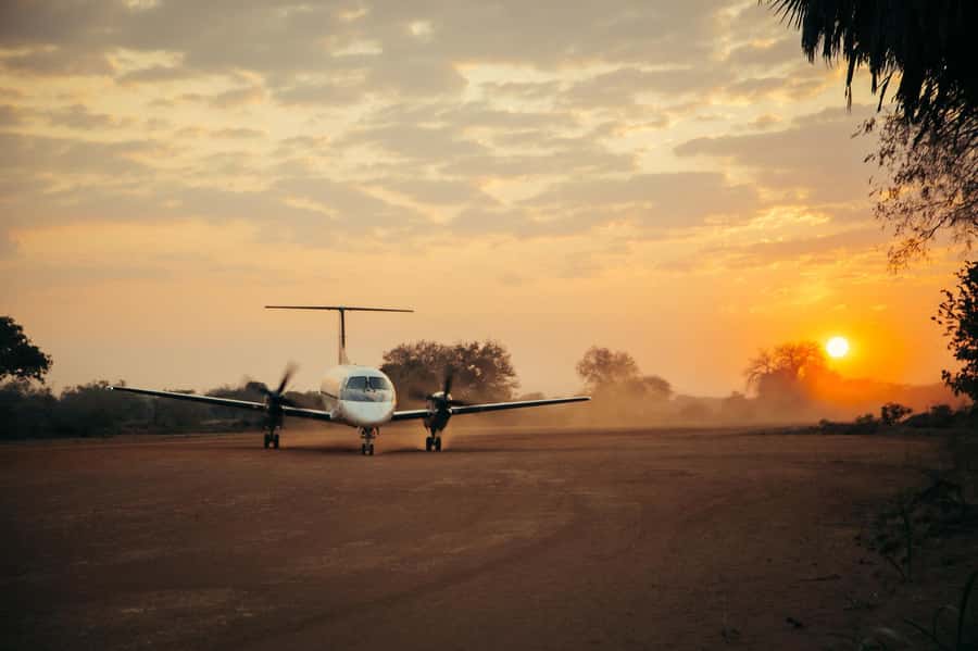 From Zanzibar: Day Selous Game Reserve Safari with Flights - Afternoon Return Flights and the Energy Budget