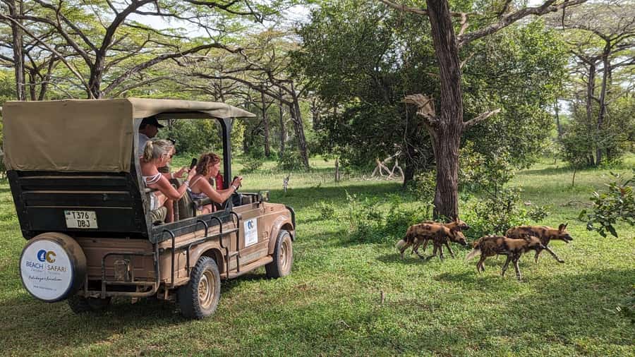 From Zanzibar: Day Selous Game Reserve Safari with Flights - Morning Arrival and the First Game Drive Hours