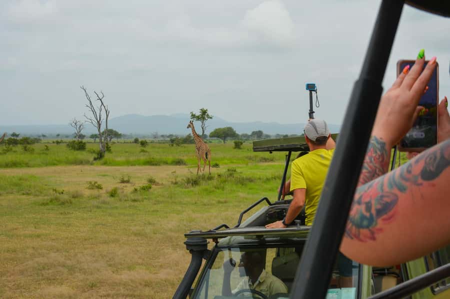 From Zanzibar: Mikumi National Park Guided Safari - Who this safari fits best (and who should skip it)