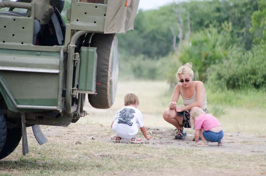 From Zanzibar: Mikumi National Park Guided Safari - Reliability and the one-day schedule risk: how to protect your day