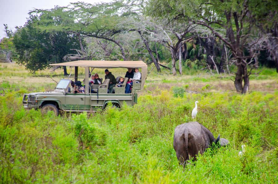From Zanzibar: Mikumi National Park Guided Safari - The full day timeline, in plain English