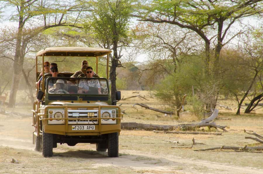 From Zanzibar: Mikumi National Park Guided Safari - Should you book Mikumi National Park from Zanzibar?