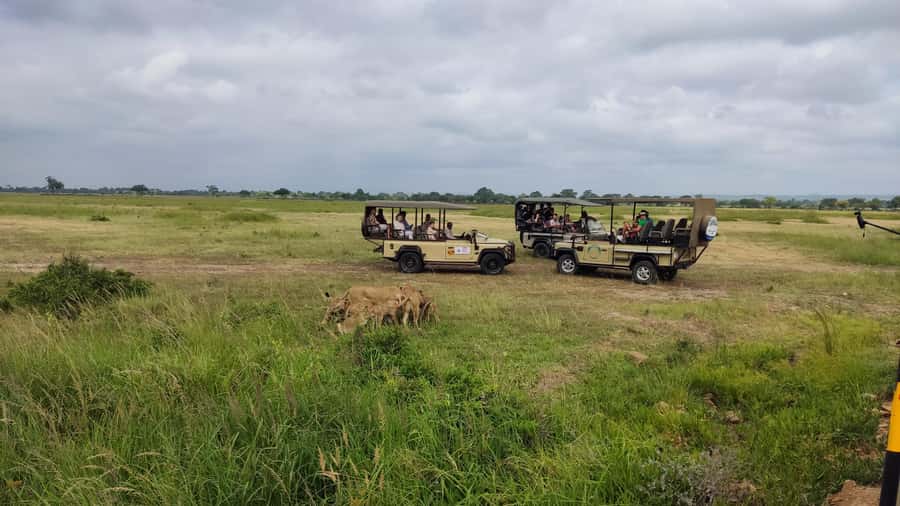 From Zanzibar: Mikumi National Park Guided Safari - FAQ