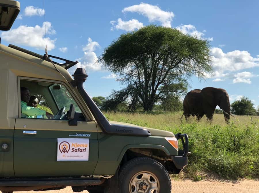 From Zanzibar: Mikumi National Park Guided Safari - The guided game drive in Mikumi: what you’re aiming to spot