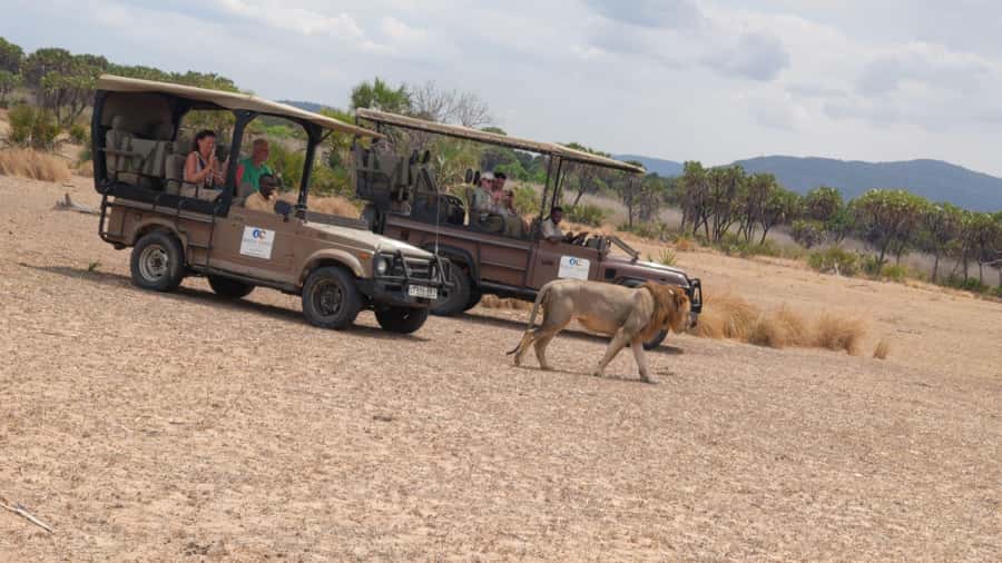 From Zanzibar: Mikumi Safari Day Trip with Flights and Meal - Small-Aircraft Flight and Airport Time: What to Expect and How to Reduce Stress