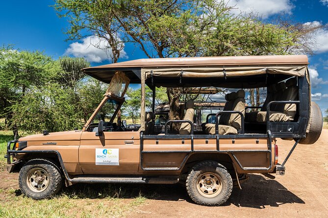 From Zanzibar: Mikumi Safari Day Trip with Flights and Meal - Bush Lunch Around 13:00: More Than a Break