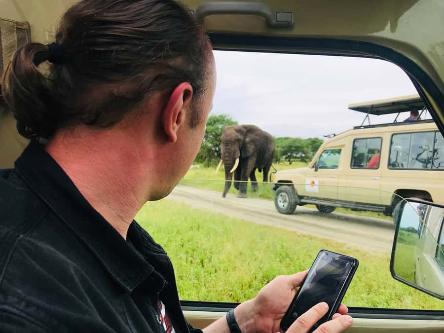 From Zanzibar: Nyerere National Park Game Drive with Lunch - Price and logistics: is $550 actually good value?