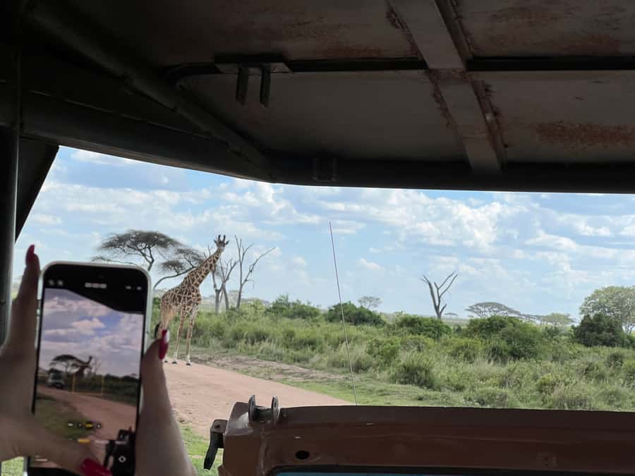 From Zanzibar: Nyerere National Park Game Drive with Lunch - Who should choose this Nyerere day safari?