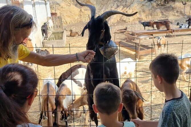 Full Day 4x4 Self-Drive Safari Tour in Crete with BBQ Lunch - The 1200m viewpoint on ancient Minoan paths