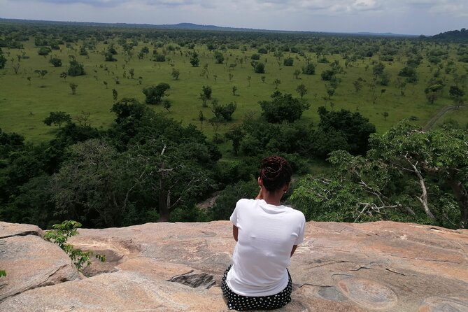 Full-Day Accra Safari and Boat Cruise Private Tour - Lunch by the lake: what’s included and how it’s timed
