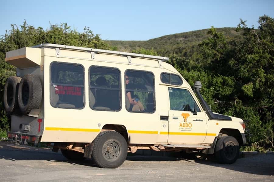 Full-Day All Inclusive Safari with Traditional Braai Lunch - The morning game drive: where sightings often start fast