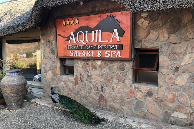 Full Day Big 5 Aquila Safari Private Transfers Including Park Fee From Cape Town - Getting the Most Out of Your Day (Without Extra Spending)