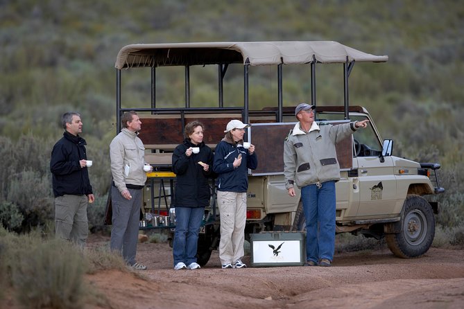 Full Day Big 5 Aquila Safari Private Transfers Including Park Fee From Cape Town - Who This Tour Fits Best