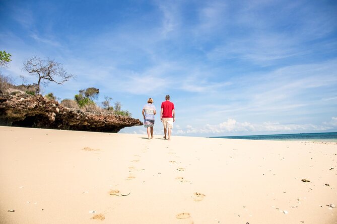 Full-Day Blue Lagoon and Sandbank Boat Tour from Zanzibar ( Safari blue) - Kwale Island (3 hours): the fallen baobab and an easy beach-walk break