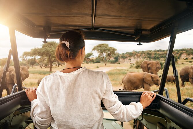 Full Day Exquisite Pilanesberg Safari from Johannesburg - Key Highlights You’ll Actually Feel