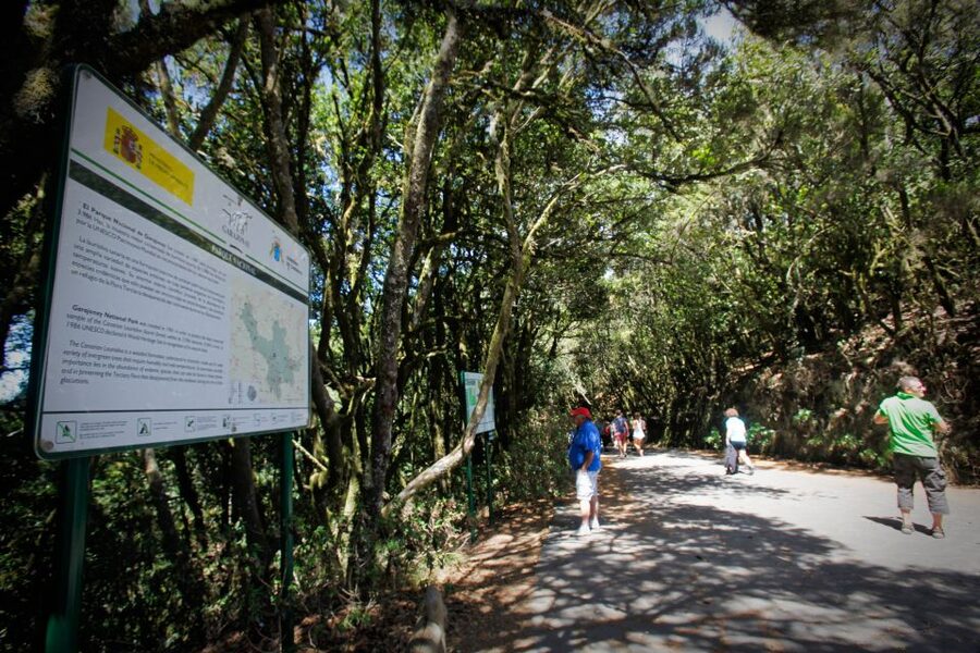 Full-Day Gomera Jeep Safari Excursion from Arona - Key things to know before you go