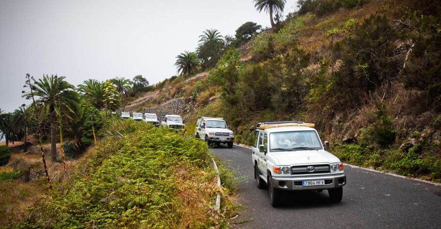 Full-Day Gomera Jeep Safari Excursion from Arona - Garajonay National Park: UNESCO time in the laurel-forest world