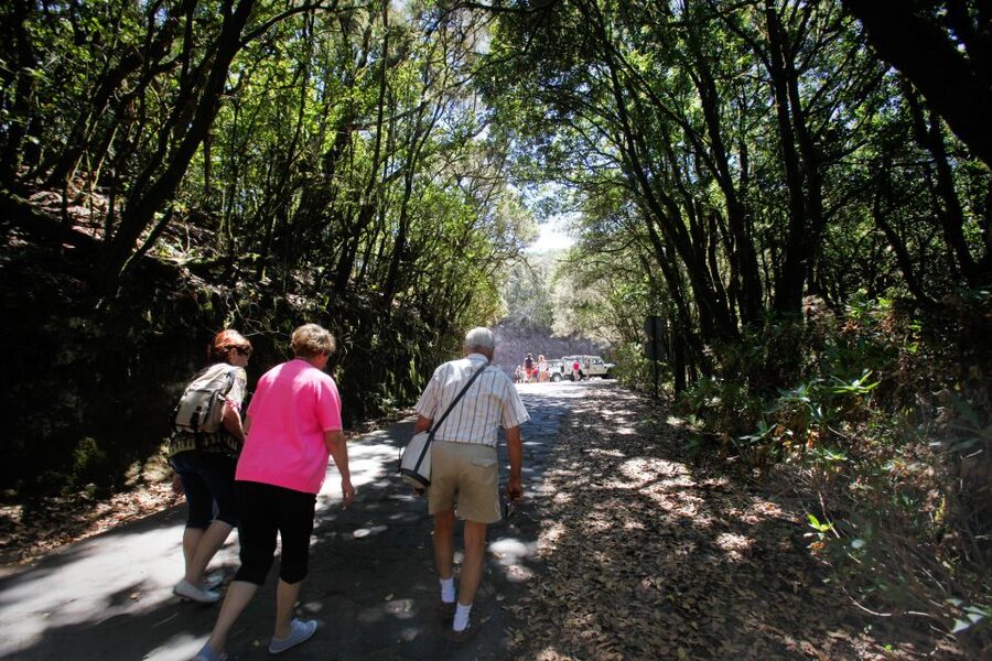 Full-Day Gomera Jeep Safari Excursion from Arona - The whistled language moment in the valleys