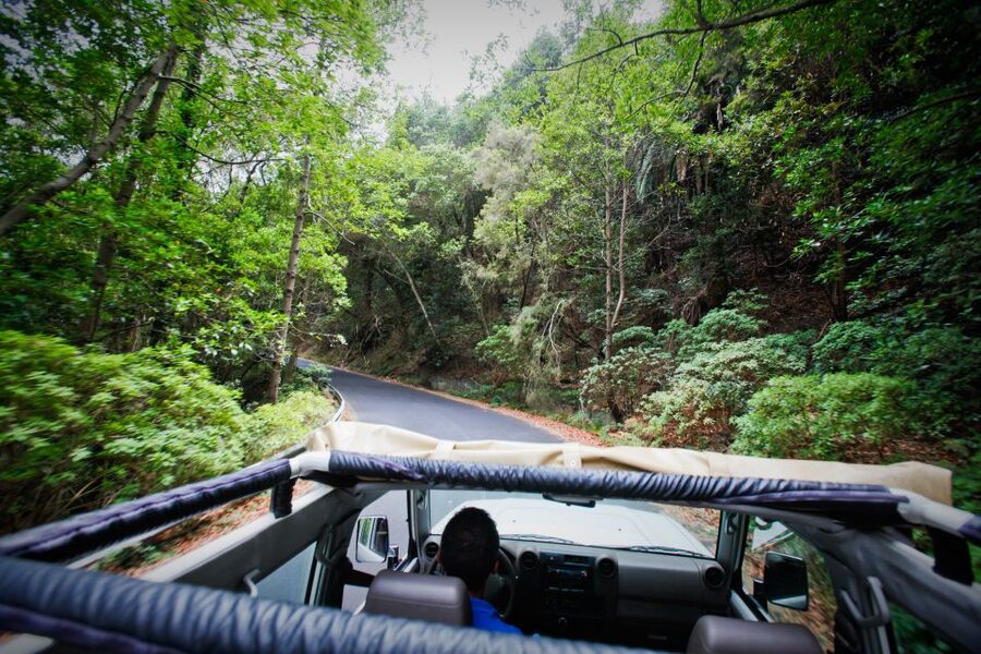 Full-Day Gomera Jeep Safari Excursion from Arona - Who this tour suits best