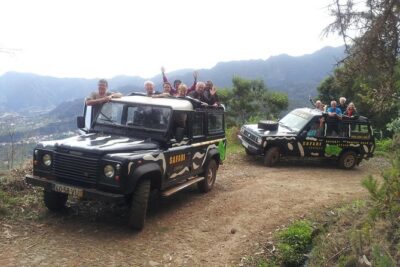 Full Day Jeep Safari East - Pico do Areeiro - Santana - Ponta de são Lourenço - Pico do Aieiro: the Mountain View Start That Sets the Mood