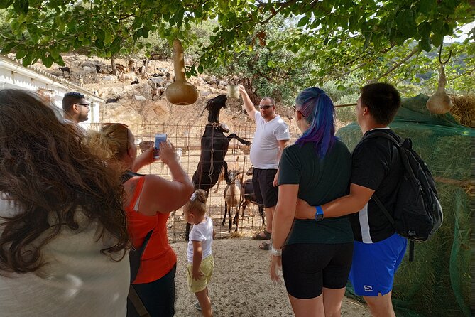 Full-Day Jeep Safari Tour with Cooking Lesson - Lasithi Plateau Windmills: A Martian-Looking Past Meets Real Wind