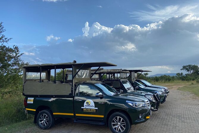 Full-Day Kruger Park Safari from Nelspruit, Whiteriver or Hazyview - Guide Commentary: The Difference Between Seeing and Understanding