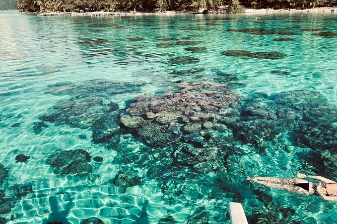 Full-day Lagoon Safari Tour with Lunch in Bora Bora - Shared tour - From Pickup to Float Time: How the Morning Flows