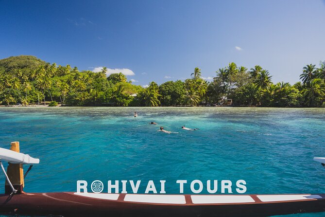 Full-day Lagoon Safari Tour with Lunch in Bora Bora - Shared tour - Stop 3: Coral Garden Snorkeling for Fish and Reef Texture