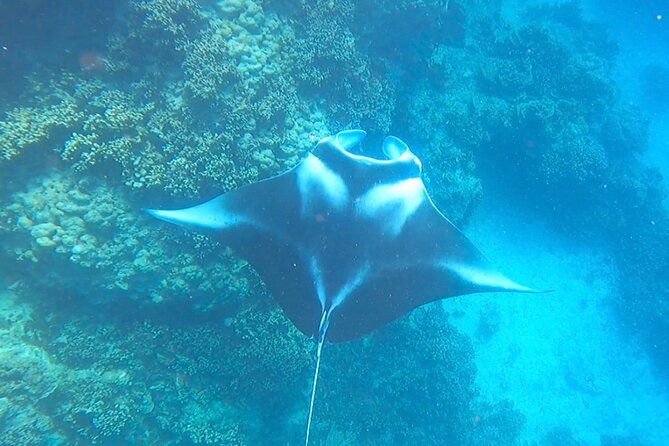 Full-day Lagoon Safari Tour with Lunch in Bora Bora - Shared tour - Stop 6: The Return Back to Matira