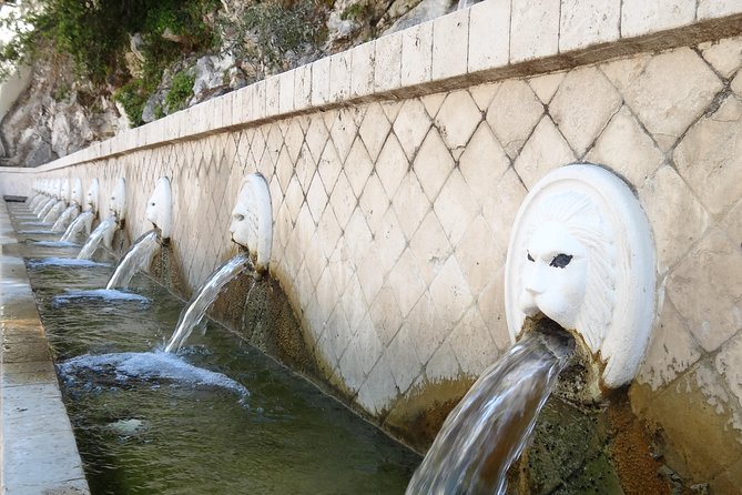 Full-Day Land Rover Safari from Rethymno with Lunch Swimming - Potami Dam Wetlands: Birds, Wildlife, and a Real Sense of Place
