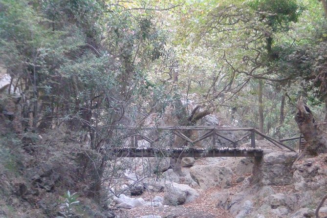 Full-Day Land Rover Safari from Rethymno with Lunch Swimming - Kourtaliotiko Gorge: Strange Rock Formations and a Chance to Sip Something Local
