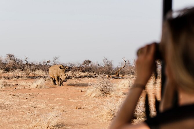 Full Day Pilanesberg Safari Adventure - Key Highlights You’ll Actually Feel on Safari