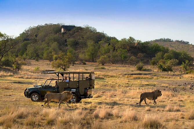 Full Day Pilanesberg Safari Adventure - Lunch Inside the Reserve: The Break That Doesn’t Kill the Day