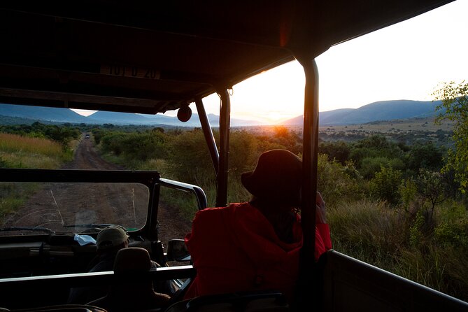 Full Day Pilanesberg Safari Adventure - Afternoon Open-Vehicle Safari: Where the Day Can Surprise You